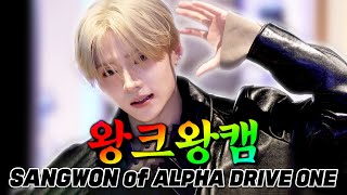 [4K] 아기 토햄이가 혼자서 울지도 않고 잘하네요🫳 카메라 정신 잃게 만든 꽃미모 왕크게 볼 수 있는 🐰왕크왕캠🐹 ALD1 상원(SANGWON)