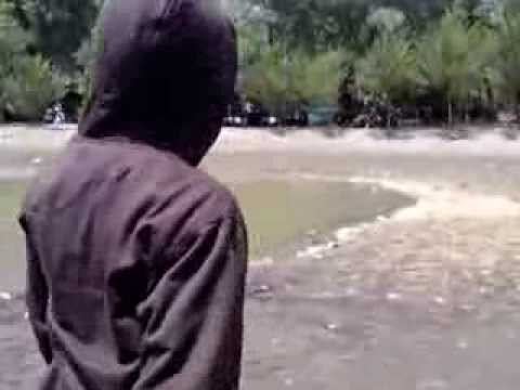 pantai nyamplung sari jawa tengah