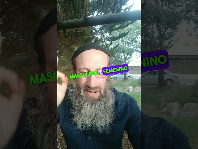 Video relacionado
