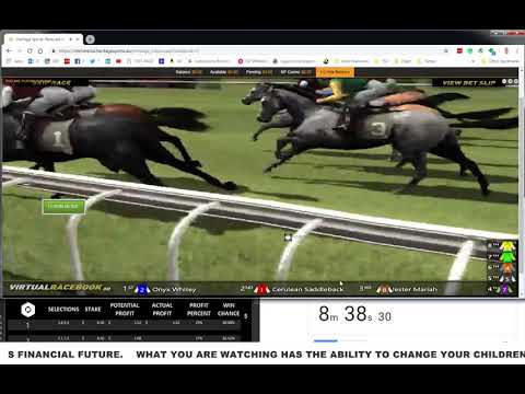 128PUNTERS - DUTCH BETTING SIMULATION
