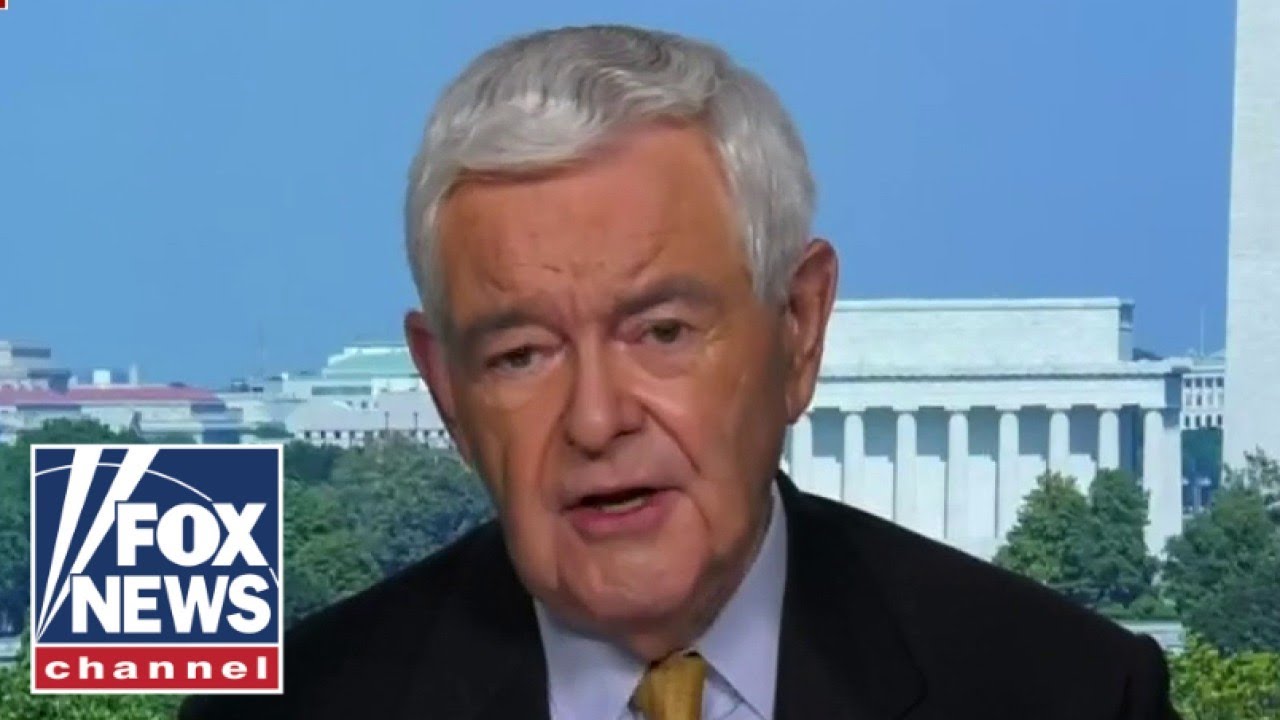Gingrich: Moderate Democrats are getting 'squeezed from both sides'