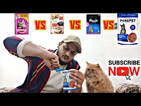 whiskas vs drools vs sheba vs purepet || Gravy food || review || fluffy cats