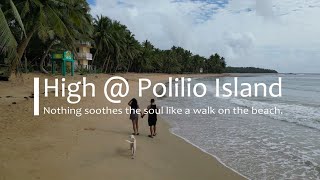 Drone | High @ Polilio Island