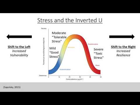 3 - Psychosis - Stress and Environmental Factors