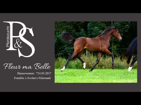 Fleur Ma Belle (Franklin x Scolari x Fidermark)