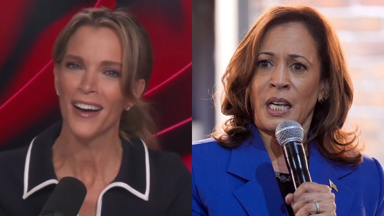 ‘Stinks of desperation’: Megyn Kelly blasts Kamala for ‘pandering’ to Black voters