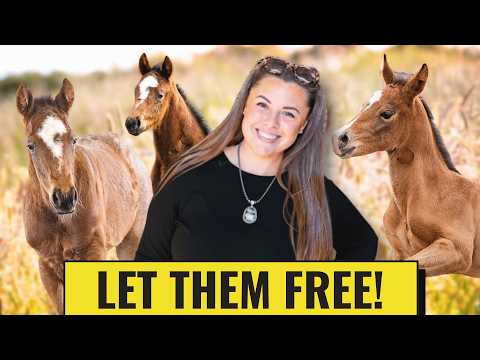 Setting My Babies Free...I Need More Of This!