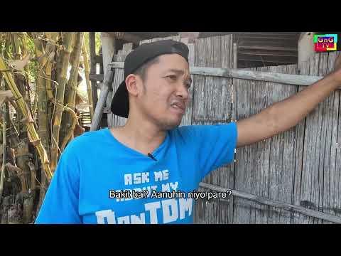 Gumatang ti Pato - Donat Masong