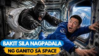 Mga Kakaibang bagay na ipinadala ng tao sa Space!