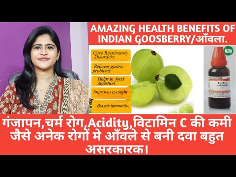 Amla Phyllanthus Emblica Powder