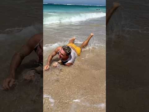 Crazy Dog 🐶 on the beach #crazykozak #dogshorts #dogvideos