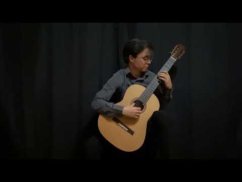 Nino D'Amico - J. Rodrigo, En Los Trigales