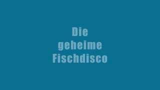 preview picture of video 'Die geheime Fischdisco'
