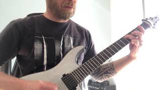 Soulfly - Feedback! ( Guitar Cover )