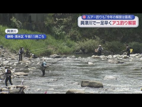 YouTube Video アユ釣りシーズン到来　釣果５０匹超など大にぎわい　静岡県内最も早い興津川　今年はルアー解禁も　
