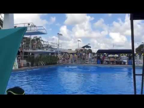 John-Michael Diveris Dive Compilation