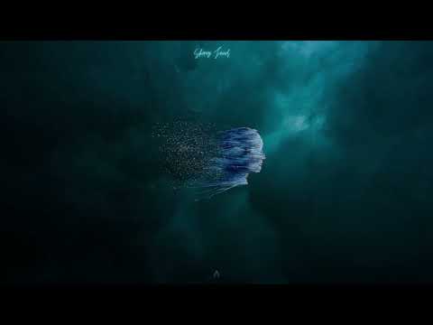 Shiraz Javed - human consciousness