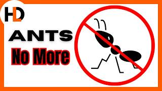 Ant Annihilation: 3 Methods Tested!
