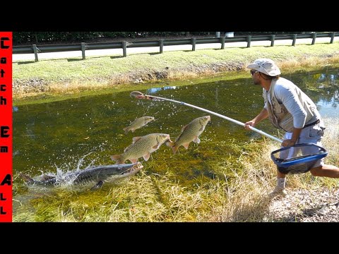 We CAUGHT MONSTERS With a 40 FOOT LONG FISH NET We BUILT!