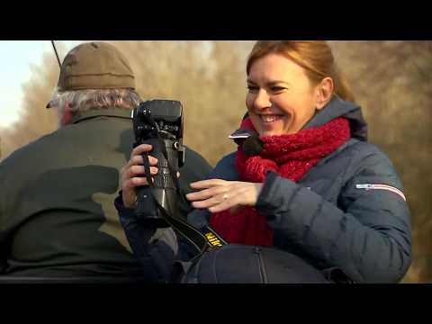 Gasztroangyal 9. rész - Vadászat Kaszópusztán (2016)