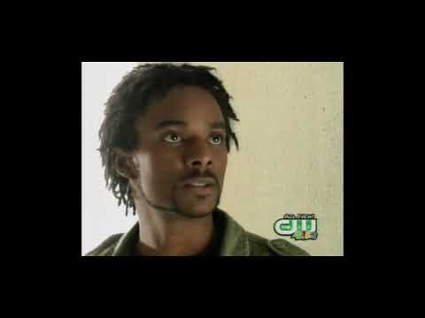 Kamen  rider dragon knight kamen rider torque kamen rider camo