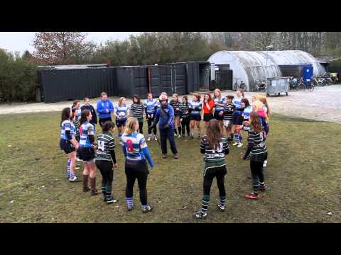 Harlem Shake All Blues Rugby Dames