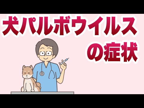 ワクチン接種を受けた犬はパルボウイルスに感染しますか?