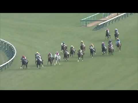 2021.12.12 2yo Newcomer (JPN) - Ever Chardonnay