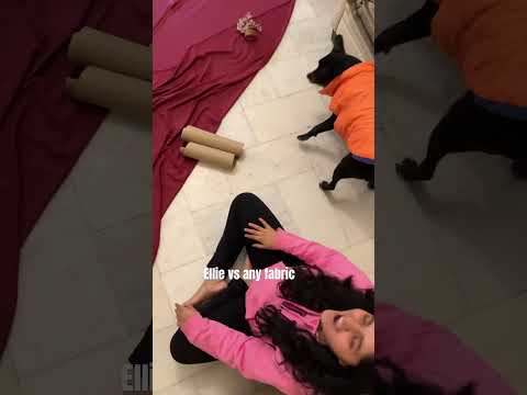 Worlds best helper 🙈✨#diy #sewing #fashiondesign #dogsofyoutube