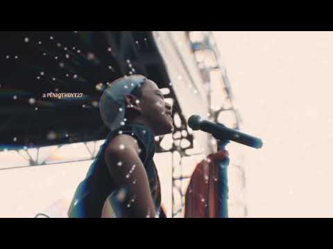 STORY WA TERBARU 2019//Danes Rabani//ibu iwan fals(cover)