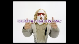 Herzschmerzgang Music Video