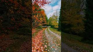 Autumn in the Swiss Alps: Pure Fall Magic 🍁🇨🇭 | #Shorts