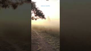 Download lagu nee varuvai ena # parthu parthu kangal # SPB - SA Rajkumar # Kalaya kanave mp3