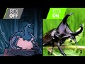 The Real Life Bugs Of Hollow Knight