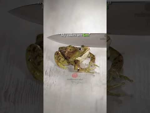 mendak 🐸 ka cake 🍰 😳😱 #viral #funny #comedy #shorts #cake #amazing