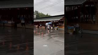 [住宿] 日本 群馬縣 老神溫泉｜源泉湯之宿紫翠亭