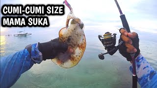 Download lagu ‼️SUDAH MULAI MUNCUL CUMI-CUMI SIZE MAMA SUKA‼️ MANCING CUMI PINGGIRAN PANTAI, SQUID FISHING mp3 Download lagu ‼️SUDAH MULAI MUNCUL CUMI-CUMI SIZE MAMA SUKA‼️ MANCING CUMI PINGGIRAN PANTAI, SQUID FISHING mp3