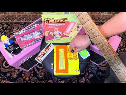DigiTech WHAMMY MONONEON SIGNATURE for Guitar & Bass New 2025 image 26