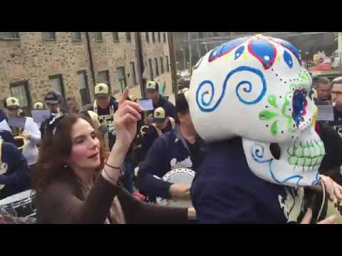 2016 South Philadelphia String Band