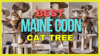 🔥 Best Cat Tree for Maine Coon in 2025 ☑️ TOP 5 ☑️