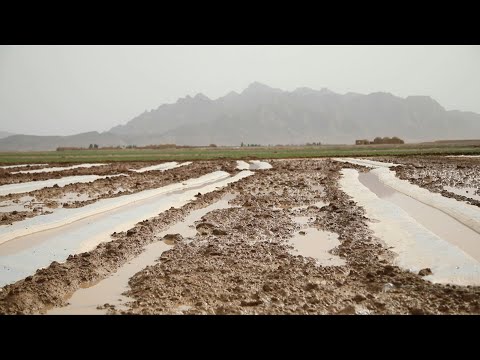 Video Thumbnail: Deadly flash floods and hail storms hit Afghanistan | AFP