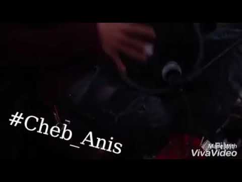 #cheb anis