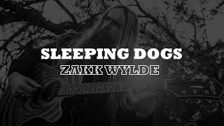 Sleeping Dogs - Zakk Waylde - Lyrics Legendado PT/BR