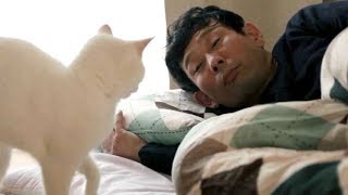 映画『愛しのノラ〜しあわせのめぐり逢い〜』予告篇