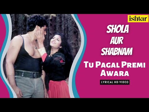 Tu Pagal Premi Awara (Lyrical) — watch video