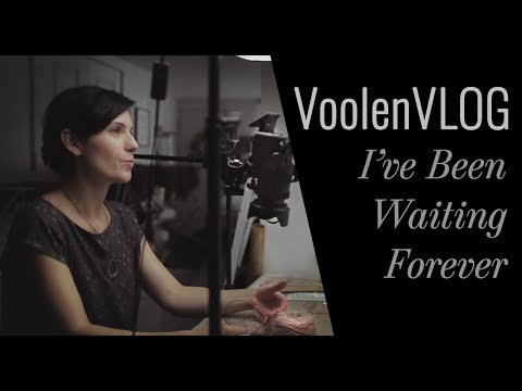 VoolenVLOG: I've Been Waiting Forever!