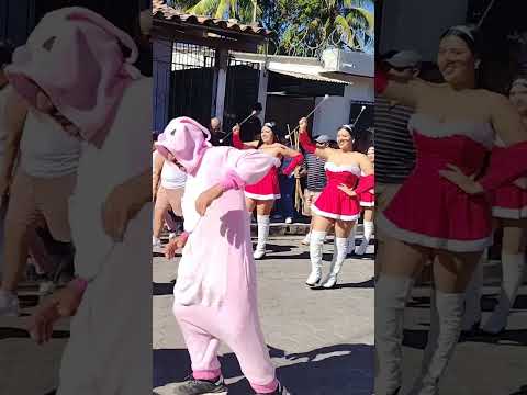 Osito Cariñoso En El Desfile De San Luis Del Carmen