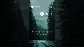 Misplaced by Riley Pearce would take you on a journey into yourself #music #indiemusic #taylorswift