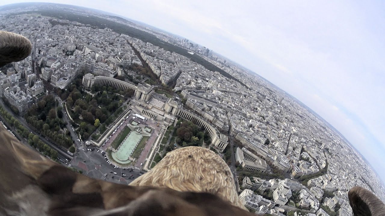 Flying eagle point of view #4 by Sony Action Cam Mini (A flight over Paris) - YouTube