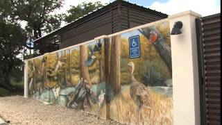 preview picture of video 'Wimberley's Best Place to Stay - Hotel Flora & Fauna'
